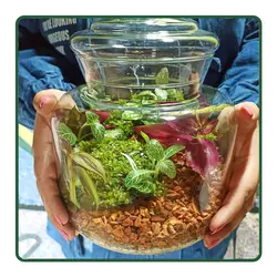 تراریوم اطلس