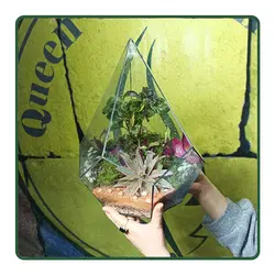 تراریوم الماس GK