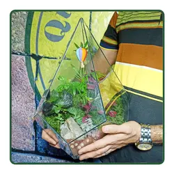 تراریوم الماس MH-B