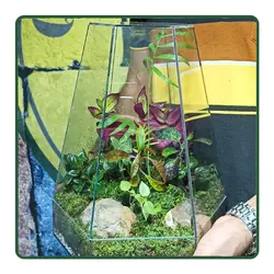 تراریوم دماوند sz