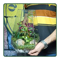 تراریوم دماوند sz