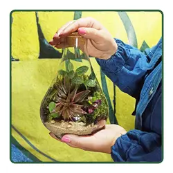 تراریوم طاوس LW