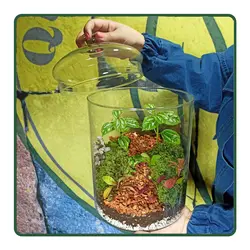 تراریوم ققنوس