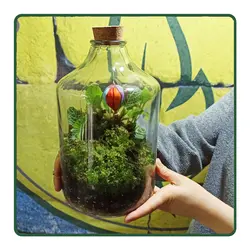 تراریوم مدل دریا