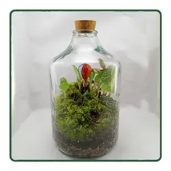 تراریوم مدل دریا