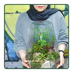 تراریوم البرز CR