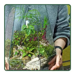 تراریوم البرز CR