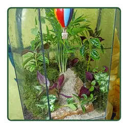 تراریوم گنبد مینا LO