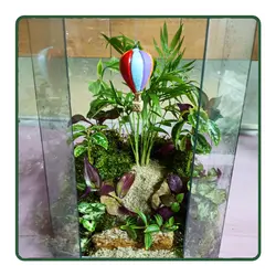 تراریوم گنبد مینا LO