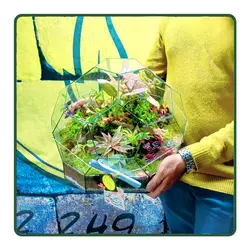 تراریوم آسمان