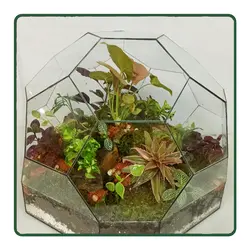 تراریوم آسمان