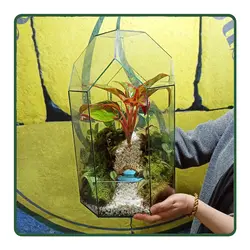 تراریوم گنبدمینا HS