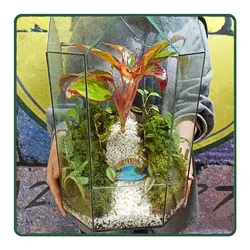 تراریوم گنبدمینا HS