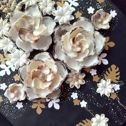 قاب دیواری با دیزاین صدف