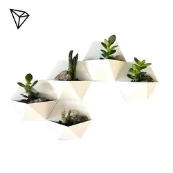 گلدان دیواری کاکتوس مجموعه 5 عددی - فروشگاه سهند