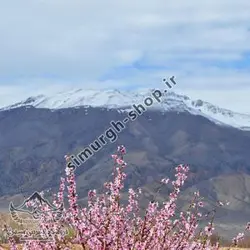 ترک مسیر قله شاهوار استان سمنان - طرح سیمرغ - لوازم کوهنوردی سیمرغ