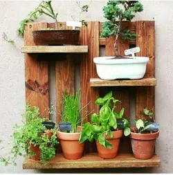 استند دیواری گل و گیاه
