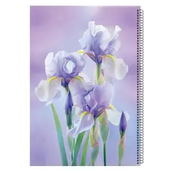 دفتر 50 گلاسه سیمی - فروشگاه لوازم التحریر