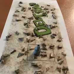 فرومون جذب شپشه برنج (شبپره هندی) آسازیست با تله چسبی