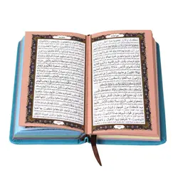 نهج البلاغه پالتوئی