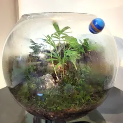 مگنت شیشه پاکن تراریوم