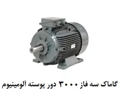 الکتروموتور گاماک 4KW سه فاز 3000 دور