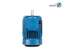الکتروموتور موتوژن سه فاز 0.18 کیلووات 0.25 اسب