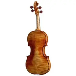 ویولن آکوستیک کارل هافنر مدل H225-AS