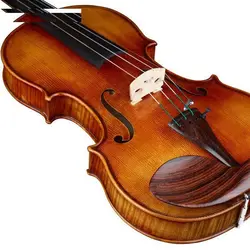 ویولن آکوستیک کارل هافنر مدل H225-AS