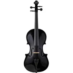 ویولن آکوستیک استگ مدل VN-4/4 TBK