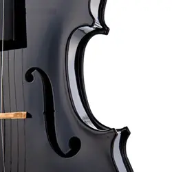 ویولن آکوستیک استگ مدل VN-4/4 TBK