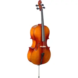 ویولن سل استگ مدل VNC-3/4L