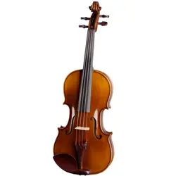 ویولن آکوستیک کارل هافنر مدل AS-185-V