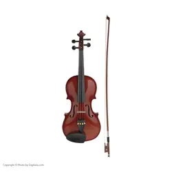 ویولن آکوستیک کد 152