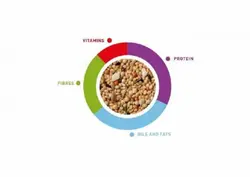 غذای پرندگان کوچک زینتی و فنچ برندPadovan