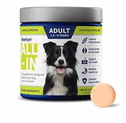 مکمل مخصوص سگ بالغ برند Vetericyn ALL-IN Dog .وزن 220 گرم