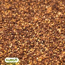 خرید و قیمت عمده کنجد قهوه ای خام با سیب سلامت | بازرگانی زرین گیاهینه