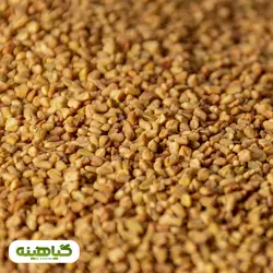 خرید و قیمت عمده تخم شنبلیله هندی پاک شده | بازرگانی زرین گیاهینه