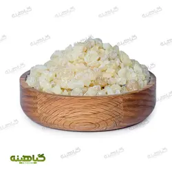 خرید و قیمت عمده مصطکی اصل | بازرگانی زرین گیاهینه