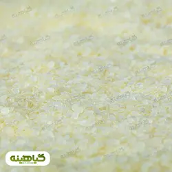 خرید و قیمت عمده مصطکی ریز | بازرگانی زرین گیاهینه