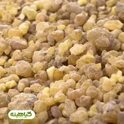 خرید و قیمت عمده کندر خوراکی اصل سایز درشت | بازرگانی زرین گیاهینه