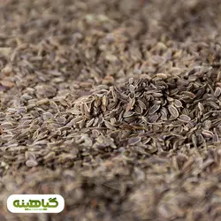 خرید و قیمت عمده تخم شوید خارجی پاک شده | بازرگانی زرین گیاهینه مرکز فروش عمده بذریجات