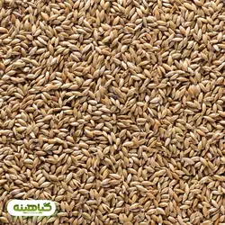 خرید و قیمت عمده تخم کتان سفید | بازرگانی زرین گیاهینه