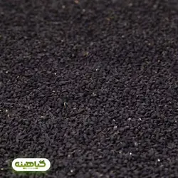 خرید و قیمت عمده سیاه دانه هندی مخصوص روغن گیری | بازرگانی زرین گیاهینه
