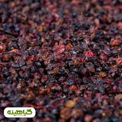 خرید و قیمت عمده زرشک سیاه (کوهی) پاک شده | بازرگانی زرین گیاهینه