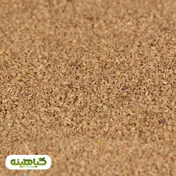 خرید و قیمت عمده دانه زنیان پاکستانی پاک شده | بازرگانی زرین گیاهینه