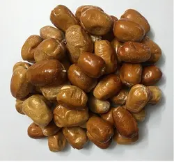 خرید و قیمت عمده سنجد درشت | بازرگانی زرین گیاهینه