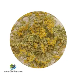 خرید و قیمت عمده سر گل بومادران خشک | بازرگانی زرین گیاهینه