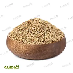 خرید و قیمت عمده تخم گشنیز توپی نهاوند همدان | بازرگانی زرین گیاهینه