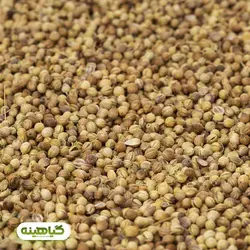 خرید و قیمت عمده تخم گشنیز توپی نهاوند همدان | بازرگانی زرین گیاهینه